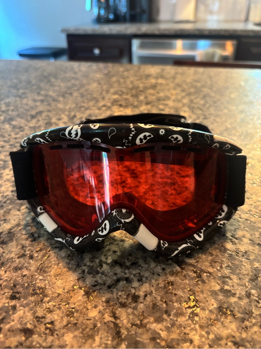 Electric Ski/Snowboard goggles